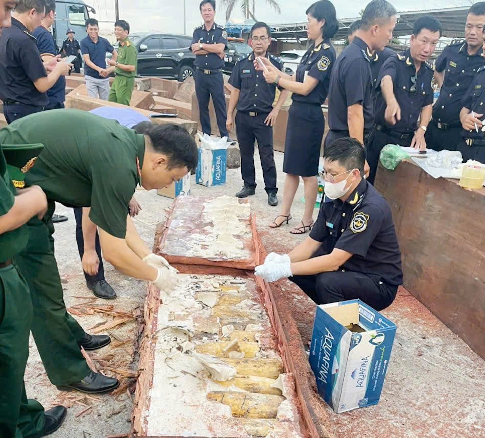 Phát hiện hơn 1.193 kg ngà voi và 79,3 kg xương động vật hoang dã từ châu Phi